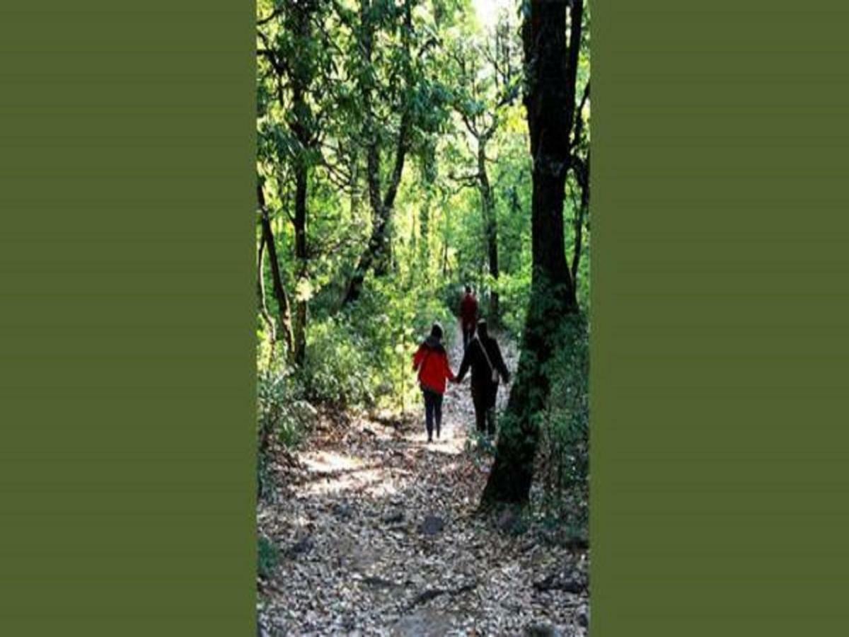 Jungle Lore Birding Lodge Nainital Eksteriør bilde