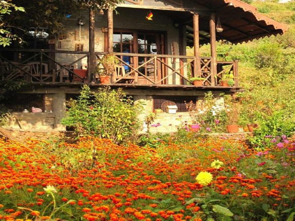 Jungle Lore Birding Lodge Nainital Eksteriør bilde